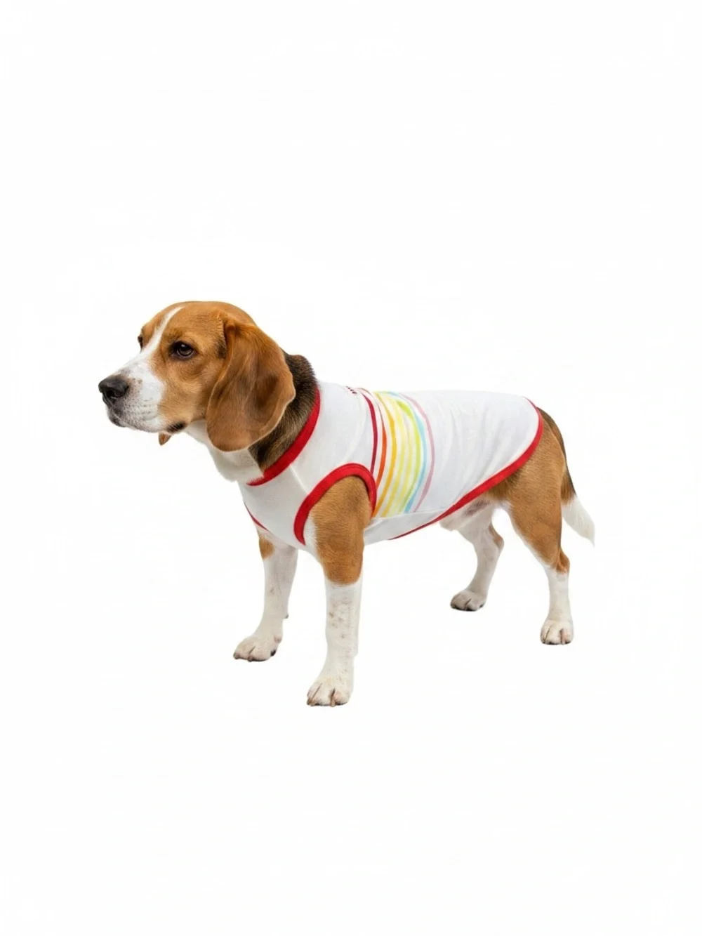 White & Red Striped Rainbow Accent Dog Tank Top ‘pride’